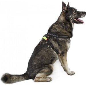 Best Friend BF Gear led light
