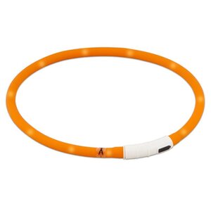 Best Friend BF Gear LED collar 40cm USB