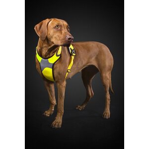 Hurtta Dazzle harness 40-45 yellow