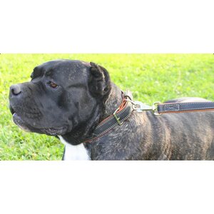 Collar Leather collar "CoLLaR SOFT" black top (width 15mm, length 27-36cm)
