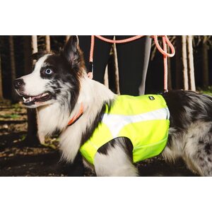 Hurtta Polar huomioliivi L keltainen