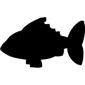 Siluettitaulu Kala liitutaulupinnalla tarrakiinnityksin