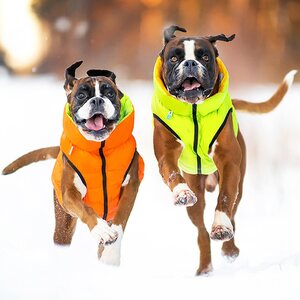 AiryVest Reversible jacket AiryVest, size XS 30, orange-light green