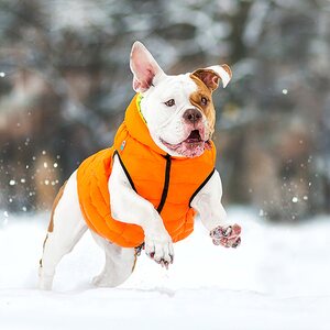AiryVest Käännettävä toppatakki, koko M 45, oranssinvihreä