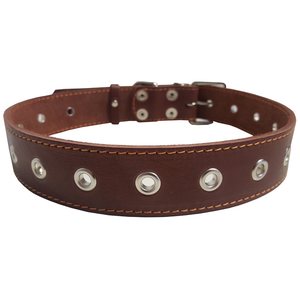 Collar Adjustable leather collar "CoLLaR" (width 35mm, length 73cm) brown