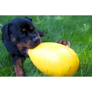 Jolly Pets Koiranlelu Jolly Egg keltainen 30 cm