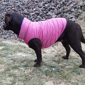AiryVest Käännettävä toppatakki, koko L 55, pinkki/purppura