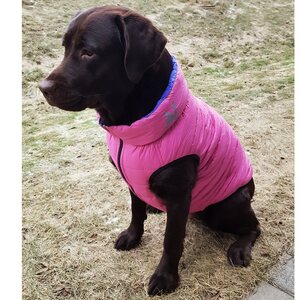 AiryVest Käännettävä toppatakki, koko L 55, pinkki/purppura