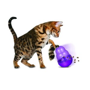 Kong Cat Wobbler