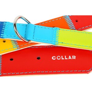 Collar Glamour nahkapanta Rainbow 20mm, 30-39 cm