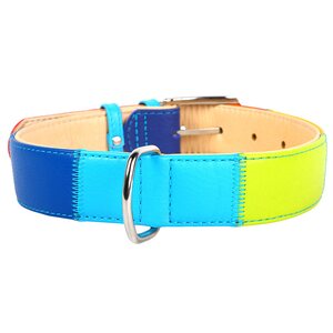 Collar Glamour nahkapanta Rainbow 25mm, 38-49 cm