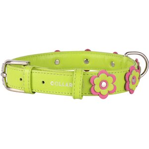 Collar Glamour nahkapanta kukka 25mm, 38-49 cm lime