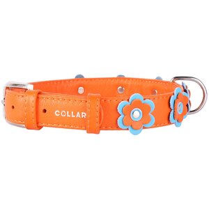 Collar Glamour nahkapanta kukka 25mm, 38-49 cm oranssi
