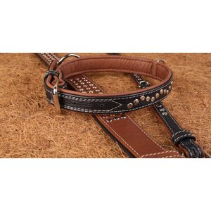 Collar Leather collar "CoLLaR SOFT" with metall decorations black top (width 35mm, length 4660cm)