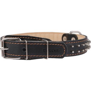 Collar Nahkapanta tylpillä piikeillä 35mm, 47-62 cm musta