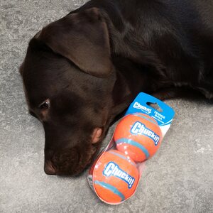 Chuckit! Tennispallo Chuckit! L-koko 7 cm tuplapakkaus