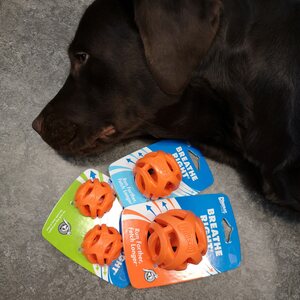 Chuckit! Chuckit Breathe Right Fetch Ball Small 2 pk