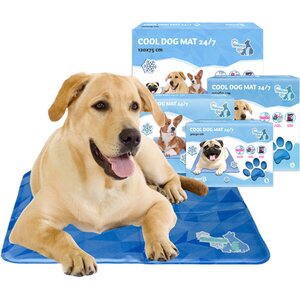 Coolpets jäähdyttävä alusta koiralle 50x40 xm