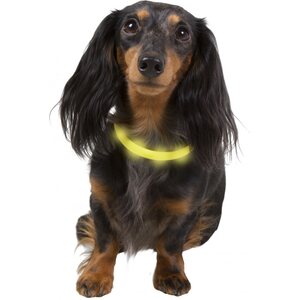 Best Friend BF Gear LED collar 40cm USB