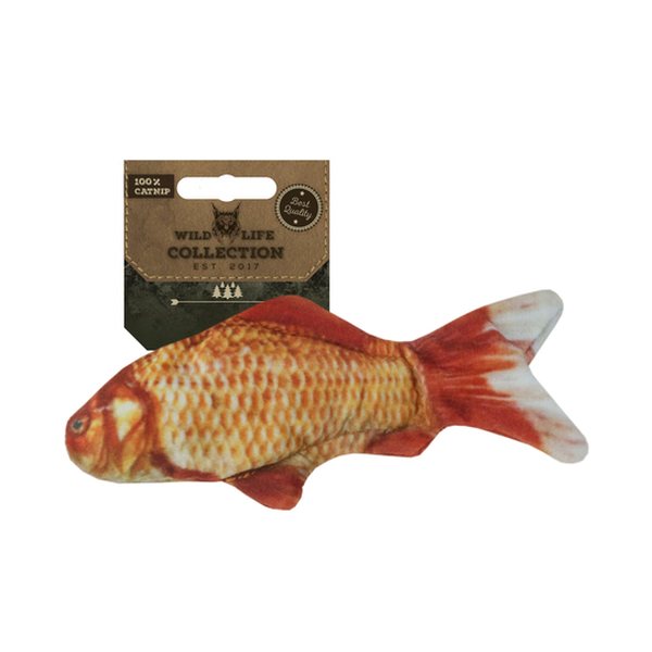 Wild Life Cat Goldfish